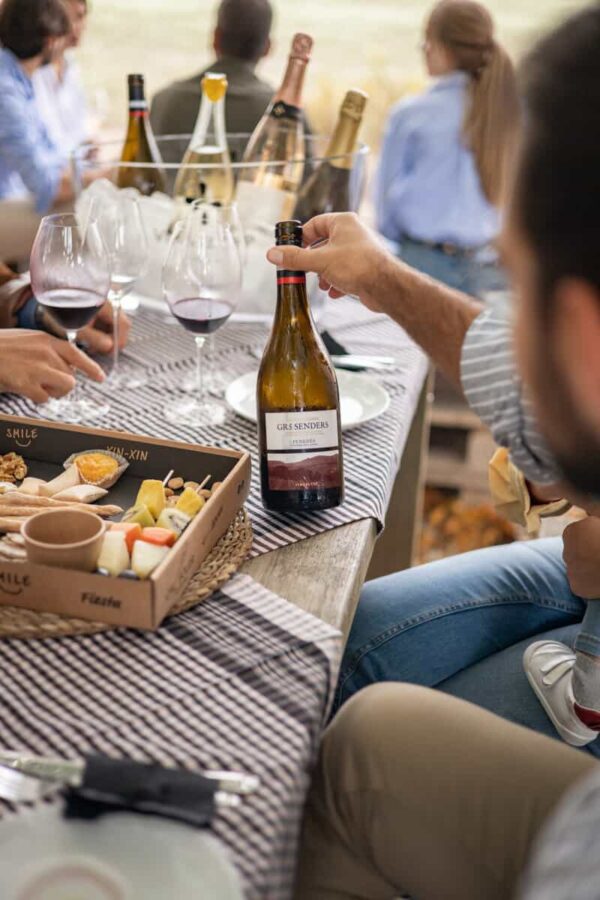 Enoturisme Xec Regal Brunch al Celler Activitat