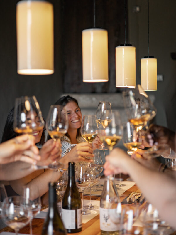 Gift Voucher: Visit Vins El Cep