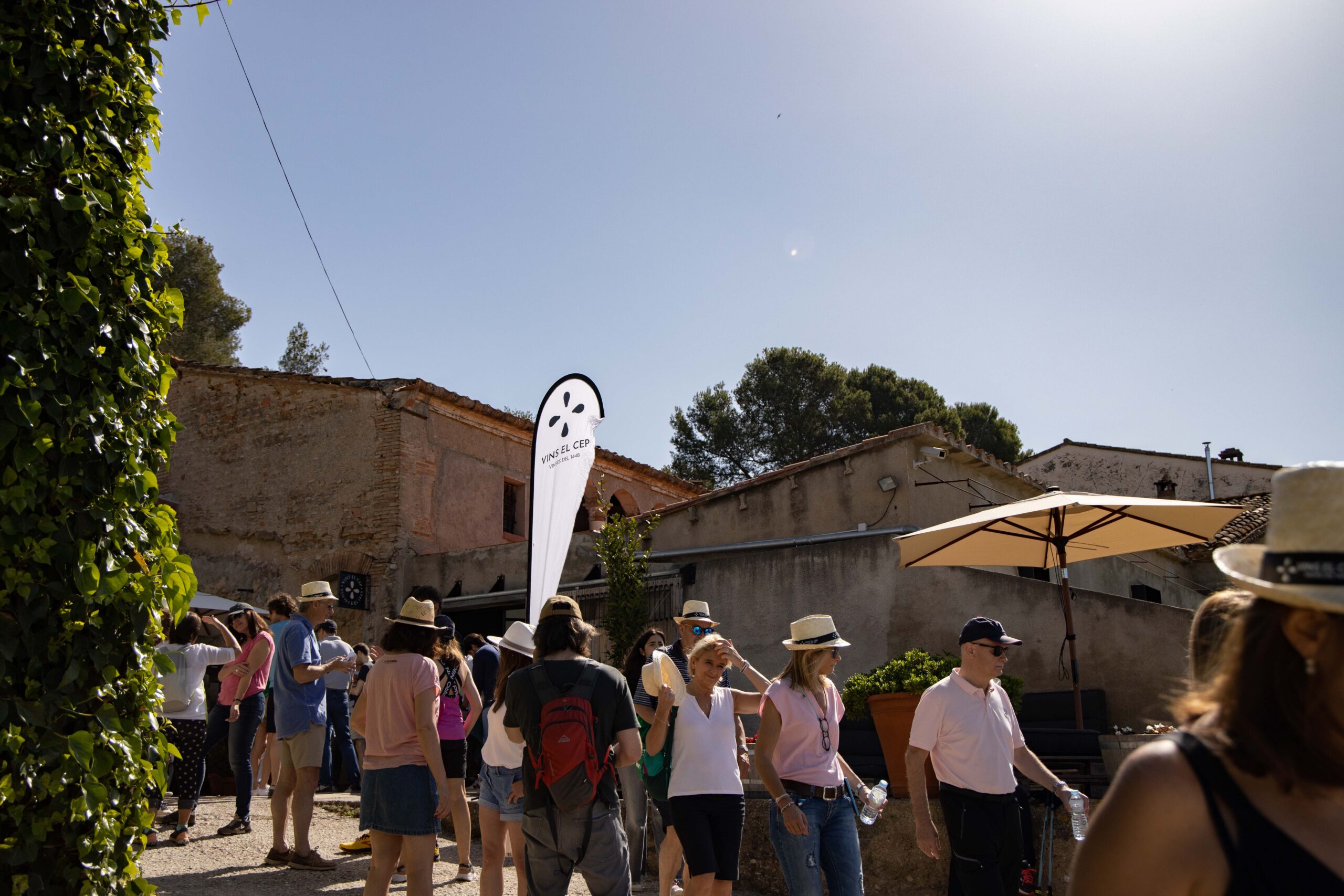 Enoturisme en El Penedès: Visita al celler i les vinyes, tasts de vins i caves, activitats guiades.