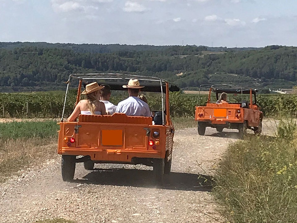 Enoturisme en El Penedès: Visita al celler i les vinyes, tasts de vins i caves, activitats guiades.