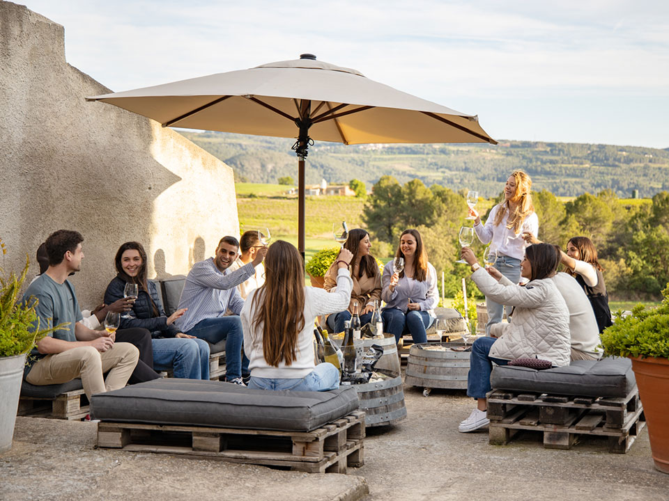 Enoturisme en El Penedès: Visita al celler i les vinyes, tasts de vins i caves, activitats guiades.