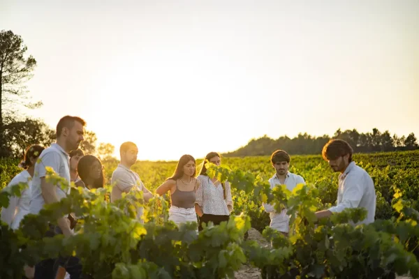 Winetourism Gift Voucher: The Penedès in three steps Tasting