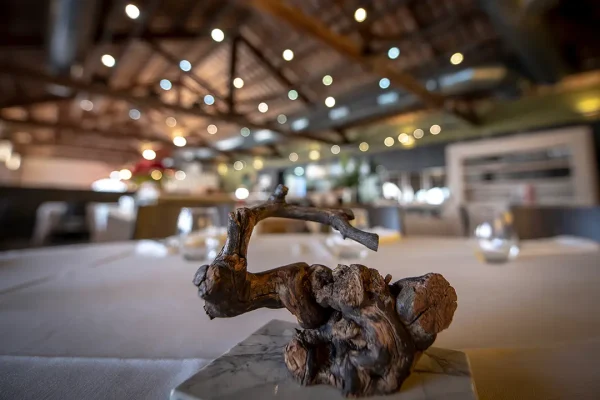 Winetourism Gift Voucher: The Penedès in three steps Tasting